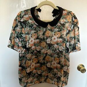 Sheer collared blouse